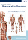Buchcover Lernposter Anatomie