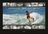 Buchcover Surfing Brazilian Beats