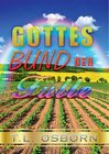 Buchcover Gottes Bund der Fülle