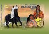 Buchcover Blackfire