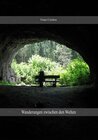 Buchcover Wanderungen zwischen den Welten