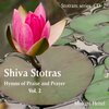 Buchcover Shiva Stotras