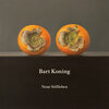 Buchcover Bart Koning