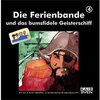 Buchcover Die Ferienbande und das bumsfidele Geisterschiff