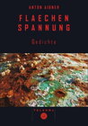 Buchcover Flächenspannung