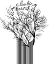 Buchcover Climbing On Branches