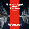 Buchcover Wenzel - Strandgut der Zeiten