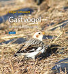 Buchcover Gastvögel der Insel Spiekeroog