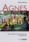 Buchcover Agnes – Peter Stamm – Lehrerheft