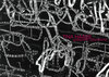 Buchcover Tina Haase
