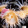 Buchcover Under Water 2010