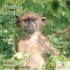 Buchcover Wildlife 2013