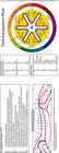 Buchcover Farb-Energiestern Pferd