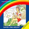 Buchcover David und Goliat