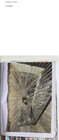 Buchcover Trelemmer