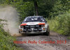 Buchcover Historic Rally Calendar 2013