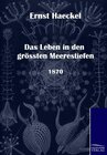 Buchcover Das Leben in den grössten Meerestiefen (1870)