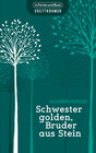 Buchcover Schwester golden, Bruder aus Stein