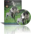 Buchcover Islandpferde ZUCHT MAGAZIN (Ausgabe 4.2012)