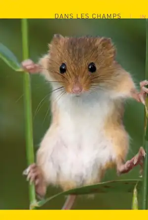 Buchcover ISBN 9783942305051