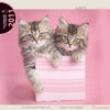 Buchcover Rachael Hale 2011 / Familienplaner, Katzen