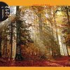 Buchcover Kalender 2012 "Im Wald"