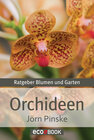 Buchcover Orchideen