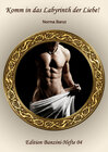 Buchcover Komm in das Labyrinth der Liebe!
