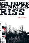 Buchcover Ein feiner dunkler Riss