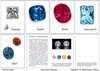 Buchcover Edelstein-Faltkärtchen. Fünf Edelsteine in Text und Bild. Serie 1: Diamant, Saphir, Rubin, Aquamarin, Opal