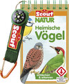 Buchcover Scout Natur - Heimische Vögel