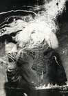 Buchcover Photographs & Pictures