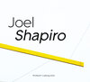 Buchcover Joel Shapiro