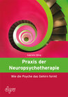 Buchcover Praxis der Neuropsychotherapie