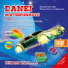 Buchcover DANEI im Sternenauto