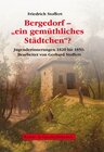 Buchcover Friedrich Stoffert: Bergedorf - "ein gemüthliches Städtchen"?