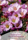 Buchcover Discovering Plants Lanzarote and Fuerteventura