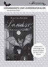 Buchcover Dorothea Flechsig: Sandor – Fledermaus mit Köpfchen LERNANGEBOTE UND LEHRERMATERIALIEN. Unterrichtsvorschläge und Kopier