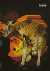 Buchcover fooop