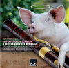 Buchcover Das geflügelte Schwein