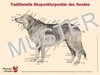 Buchcover Traditionelle Akupunkturpunkte des Hundes