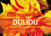 Buchcover DULIDU – Aufsteller