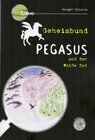 Buchcover Geheimbund Pegasus und der Weiße Tod