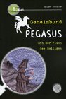 Buchcover Geheimbund Pegasus und der Fluch des Heiligen