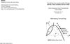 Buchcover The bull and bear market model of Huang and Day: Some extensions and new results