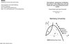 Buchcover Heterogeneity, spontaneous coordination and extreme events within large-scale and small-scale agent-based financial mark