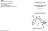 Buchcover Strategic Sequential Voting