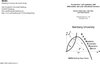 Buchcover Preschoolers’ self-regulation, skill differentials, and early educational outcomes