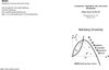 Buchcover Asymmetric competition, risk, and return distribution