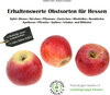 Buchcover Erhaltenswerte Obstsorten für Hessen – Äpfel, Birnen, Kirschen, Pflaumen, Zwetschen, Mirabellen, Renekloden, Aprikosen, 